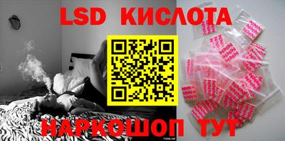 стафф Гатчина