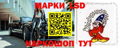 стафф Гатчина