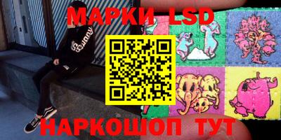 стафф Гатчина