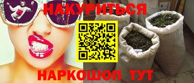 стафф Гатчина
