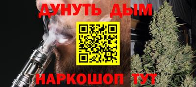стафф Гатчина