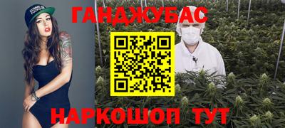 стафф Гатчина