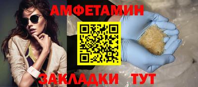 стафф Гатчина
