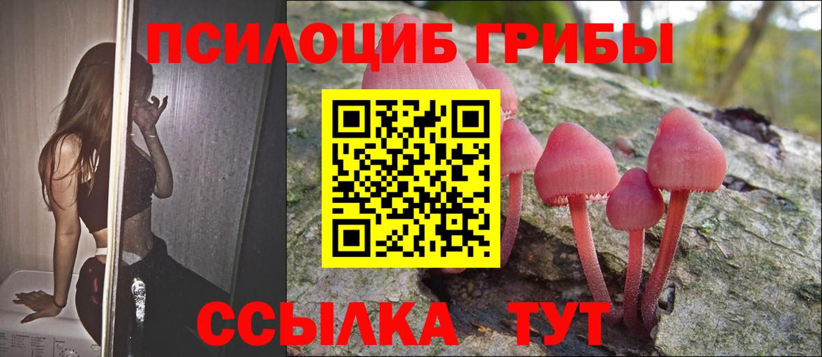 сколько стоит  Псилоцибиновые грибы Cubensis  Мценск  Вход с VPN  Галлюциногенные грибы мицелий 